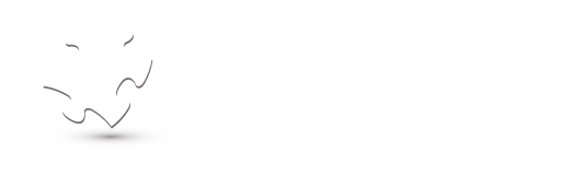 Digital Service